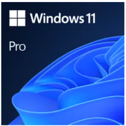 Win 11 Pro 64 Bits Spanish...